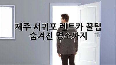 제주 서귀포 렌트카 꿀팁 🚗🌴 숨겨진 명소까지!