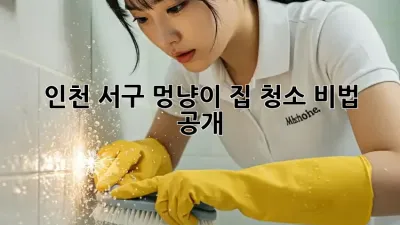🐾 인천 서구 멍냥이 집 청소 비법 공개! ✨